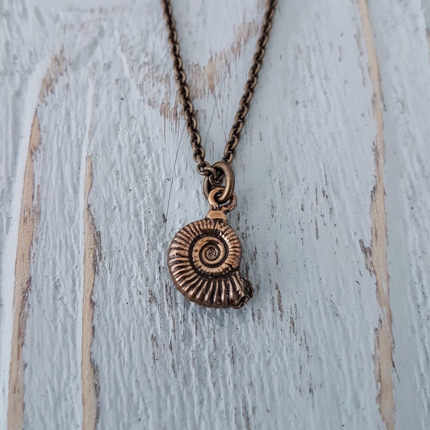 AMMONITE FOSSIL NECKLACE - Inspiratek