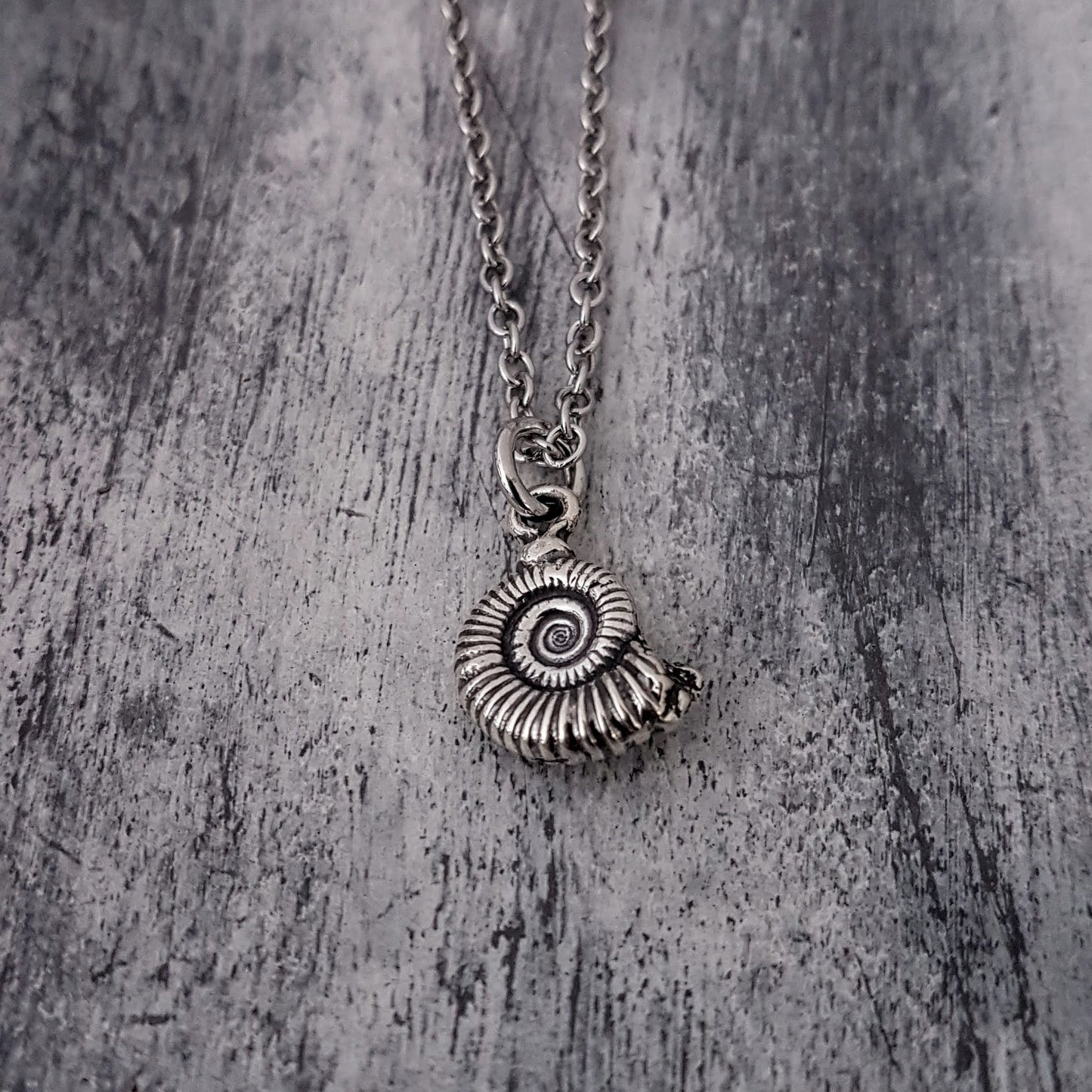 AMMONITE FOSSIL NECKLACE - Inspiratek